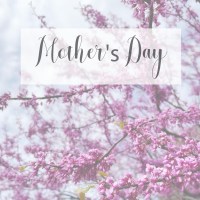 Mother's Day Gift Guide